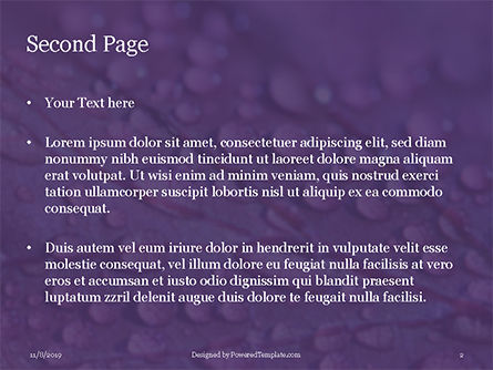 water drops on purple leaf - PowerPointテンプレート, スライド 2, 16158, 自然＆環境 — PoweredTemplate.com