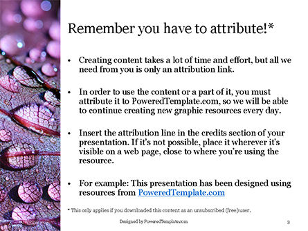 Modèle PowerPoint de water drops on purple leaf, Diapositive 3, 16158, Nature / Environnement — PoweredTemplate.com