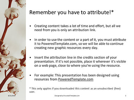 Modèle PowerPoint de cotton flowers in a vase, Diapositive 3, 16172, Nature / Environnement — PoweredTemplate.com