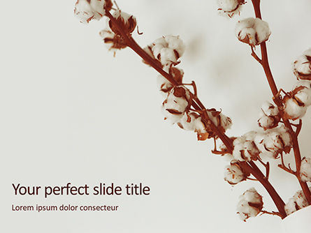 Cotton Flowers In A Vase PowerPoint Template, PowerPoint-sjabloon, 16172, Natuur & Milieu — PoweredTemplate.com