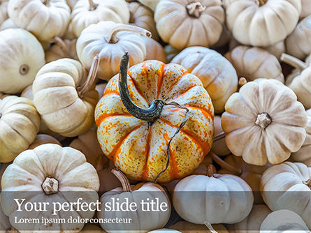 Bunch of squashes Kostenlose PowerPoint Vorlage, Kostenlos PowerPoint-Vorlage, 16177, Allgemein — PoweredTemplate.com