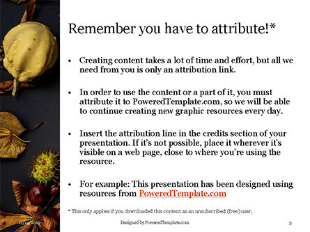 Modèle PowerPoint gratuit de dried leaves and yellow fruits, Diapositive 3, 16179, Fêtes / Grandes occasions — PoweredTemplate.com