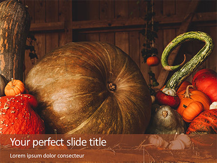 Still Life with Pumpkins Presentation, 16183, Holiday/Special Occasion — PoweredTemplate.com