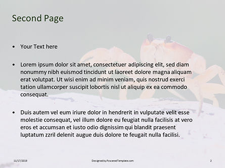 Modèle PowerPoint de crab on rock, Diapositive 2, 16194, Nature / Environnement — PoweredTemplate.com