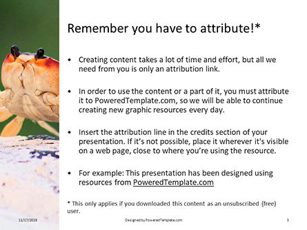 crab on rock - PowerPointテンプレート, スライド 3, 16194, 自然＆環境 — PoweredTemplate.com