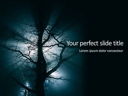 spooky night shot of tree in fog backlit by streetlight - 無料PowerPointテンプレート, 無料 PowerPointテンプレート, 16198, 自然＆環境 — PoweredTemplate.com