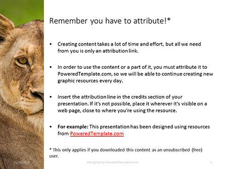 Templat PowerPoint Gratis Portrait Of Lioness On Grass, Slide 3, 16212, Alam & Lingkungan — PoweredTemplate.com