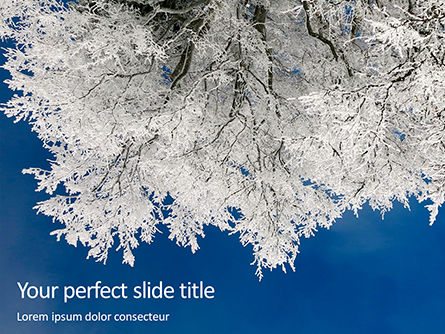 Modèle PowerPoint gratuit de tree covered in snow and frost, Gratuit Modele PowerPoint, 16247, Nature / Environnement — PoweredTemplate.com