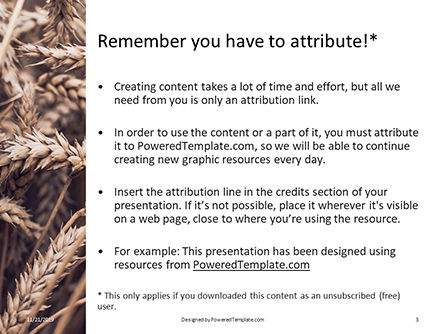 Templat PowerPoint Gratis Ears Of Rye On Field Presentation, Slide 3, 16265, Umum — PoweredTemplate.com