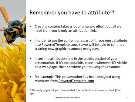 wasp on a yellow flower - PowerPointテンプレート, スライド 3, 16279, 自然＆環境 — PoweredTemplate.com