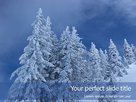 Spruces Tree on Wintry Hill Presentation, 16280, Nature & Environment — PoweredTemplate.com