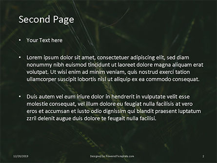 Modello PowerPoint - Green leafed plant, Slide 2, 16345, Natura & Ambiente — PoweredTemplate.com