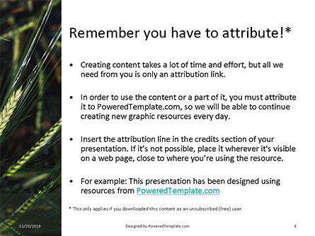 Modello PowerPoint - Green leafed plant, Slide 3, 16345, Natura & Ambiente — PoweredTemplate.com