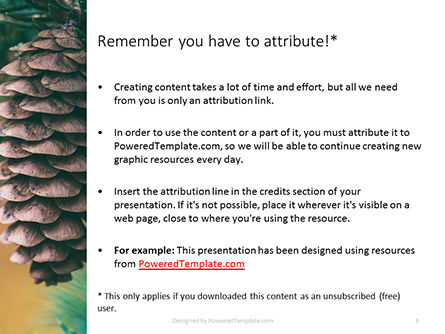 Pine cone on branch免费PowerPoint模板, 幻灯片 3, 16347, 自然与环境 — PoweredTemplate.com