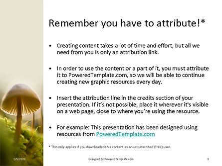 cute toadstool macro - PowerPointテンプレート, スライド 3, 16390, 自然＆環境 — PoweredTemplate.com