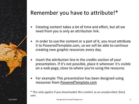Yellow Wet Leaf on Asphalt Presentation, Slide 3, 16414, Nature & Environment — PoweredTemplate.com