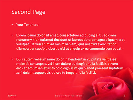 Beautiful Red Rose Close Up Presentation, Slide 2, 16437, Nature & Environment — PoweredTemplate.com