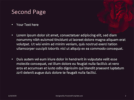 little rain drops on the beautiful red rose - PowerPointテンプレート, スライド 2, 16454, 自然＆環境 — PoweredTemplate.com