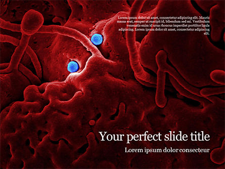 Particles on Epithelial Cells Presentation, Free PowerPoint Template, 16469, Medical — PoweredTemplate.com