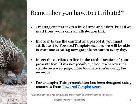 Modello PowerPoint - Echidna presentation, Slide 3, 16484, Natura & Ambiente — PoweredTemplate.com
