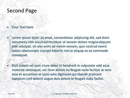 Snow covered trees presentation Kostenlose PowerPoint Vorlage, Folie 2, 16514, Natur & Umwelt — PoweredTemplate.com