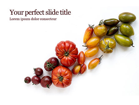 Variety of Ripe Fresh Organic Gardening Tomatoes Presentation, 16526, Food & Beverage — PoweredTemplate.com