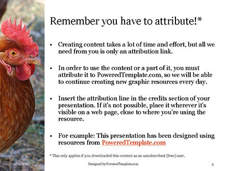 무료 파워포인트 템플릿 - a hen presentation, 슬라이드 3, 16528, 농업 — PoweredTemplate.com