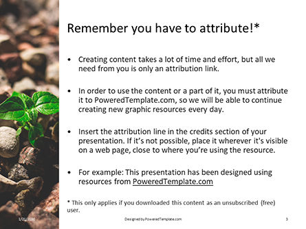 무료 파워포인트 템플릿 - germination presentation, 슬라이드 3, 16530, 농업 — PoweredTemplate.com