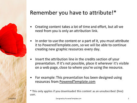Red poppy in the field presentation免费PowerPoint模板, 幻灯片 3, 16543, 自然与环境 — PoweredTemplate.com