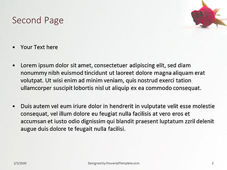 Templat PowerPoint Gratis Beautiful Red Rose Flower Isolated On White Background Presentation, Slide 2, 16612, Liburan/Momen Spesial — PoweredTemplate.com