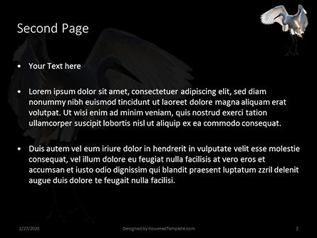 Great egret presentation Kostenlose PowerPoint Vorlage, Folie 2, 16620, Natur & Umwelt — PoweredTemplate.com