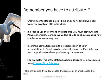 Modèle PowerPoint gratuit de great egret presentation, Diapositive 3, 16620, Nature / Environnement — PoweredTemplate.com