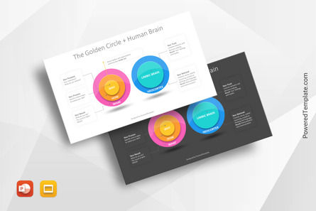 The Golden Circle and Human Brain Presentation Template, Gratis Tema Google Slides, 10892, Model Bisnis — PoweredTemplate.com