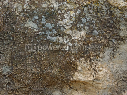 Natura: Marble Texture Outdoor In The Garden #22061 Foto