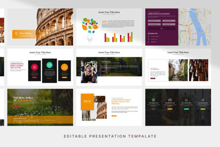 Portfolio - PowerPoint Template, Slide 4, 11141, Astratto/Texture — PoweredTemplate.com