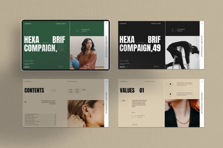Hexa Breif Compaign Presentation, Slide 2, 12011, Business Concepts — PoweredTemplate.com