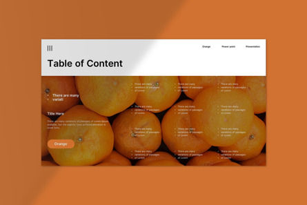 Orange PowerPoint Presentation, Folie 4, 12899, Business — PoweredTemplate.com
