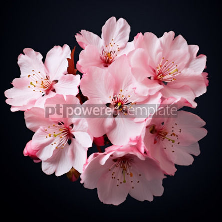 Highly Detailed Cinematic Pink Sakura Vibrant Japanese