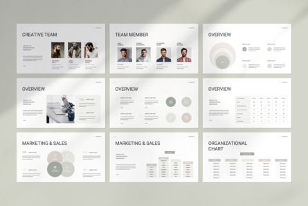 Business Plan PowerPoint Template, Diapositiva 9, 13963, Negocios — PoweredTemplate.com