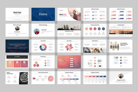 Pristine Minimal Google Slide Presentation Template, Folie 3, 14744, Business — PoweredTemplate.com