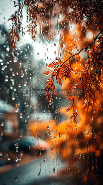 Autumn Raindrops on Window with Fiery Foliage | AI Image ...