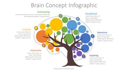 Brain Concept Infographic, 08930, Infographics — PoweredTemplate.com