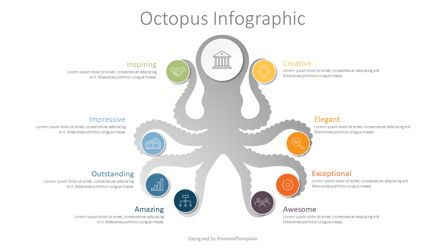 Octopus Infographic Concept, 08972, Animals and Pets — PoweredTemplate.com