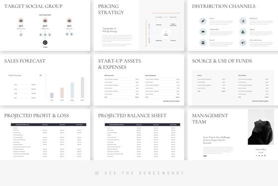 Business Plan PowerPoint Presentation Template, Slide 7, 09202, Business — PoweredTemplate.com