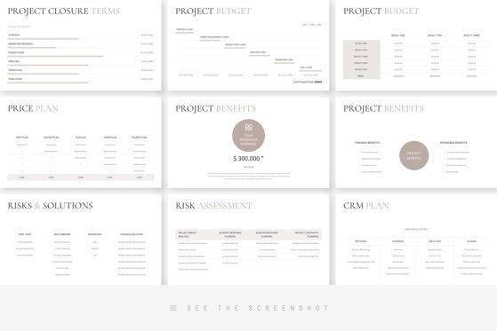 Project Proposal PowerPoint Presentation Template, Slide 6, 09216, Business — PoweredTemplate.com