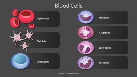 Blood Cells Free Diagram, Diapositiva 2, 09345, Education & Training — PoweredTemplate.com