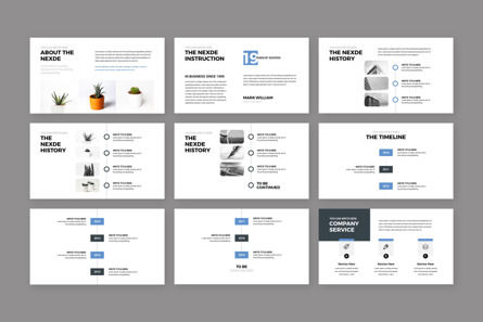 Nexde - Modern Simple clean Business Keynote Presentation Template, Diapositive 3, 09406, Schémas de procédés — PoweredTemplate.com