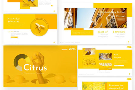 Citrus Multipurpose Creative PowerPoint Template, Diapositive 4, 09711, Business — PoweredTemplate.com
