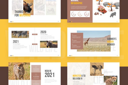 Wildlife Nature Professional PowerPoint Template, 幻灯片 4, 09728, 动物和宠物 — PoweredTemplate.com