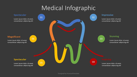 Tooth Infographic, Slide 2, 10041, Health and Recreation — PoweredTemplate.com